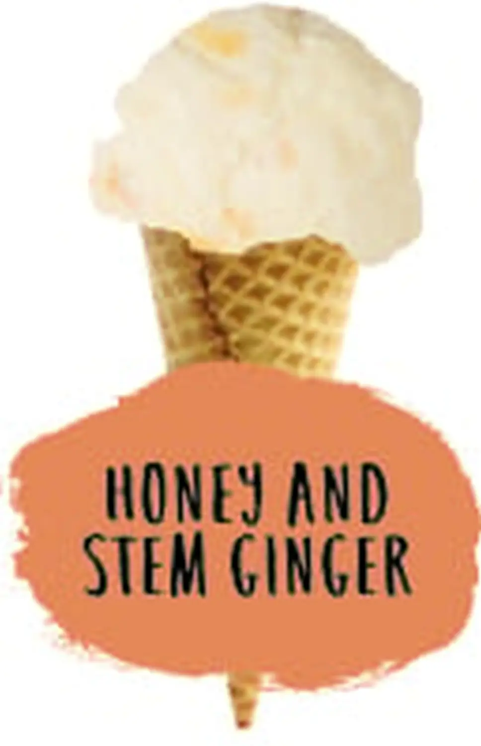 Sevanetti Honey and stem ginger Ice Cream