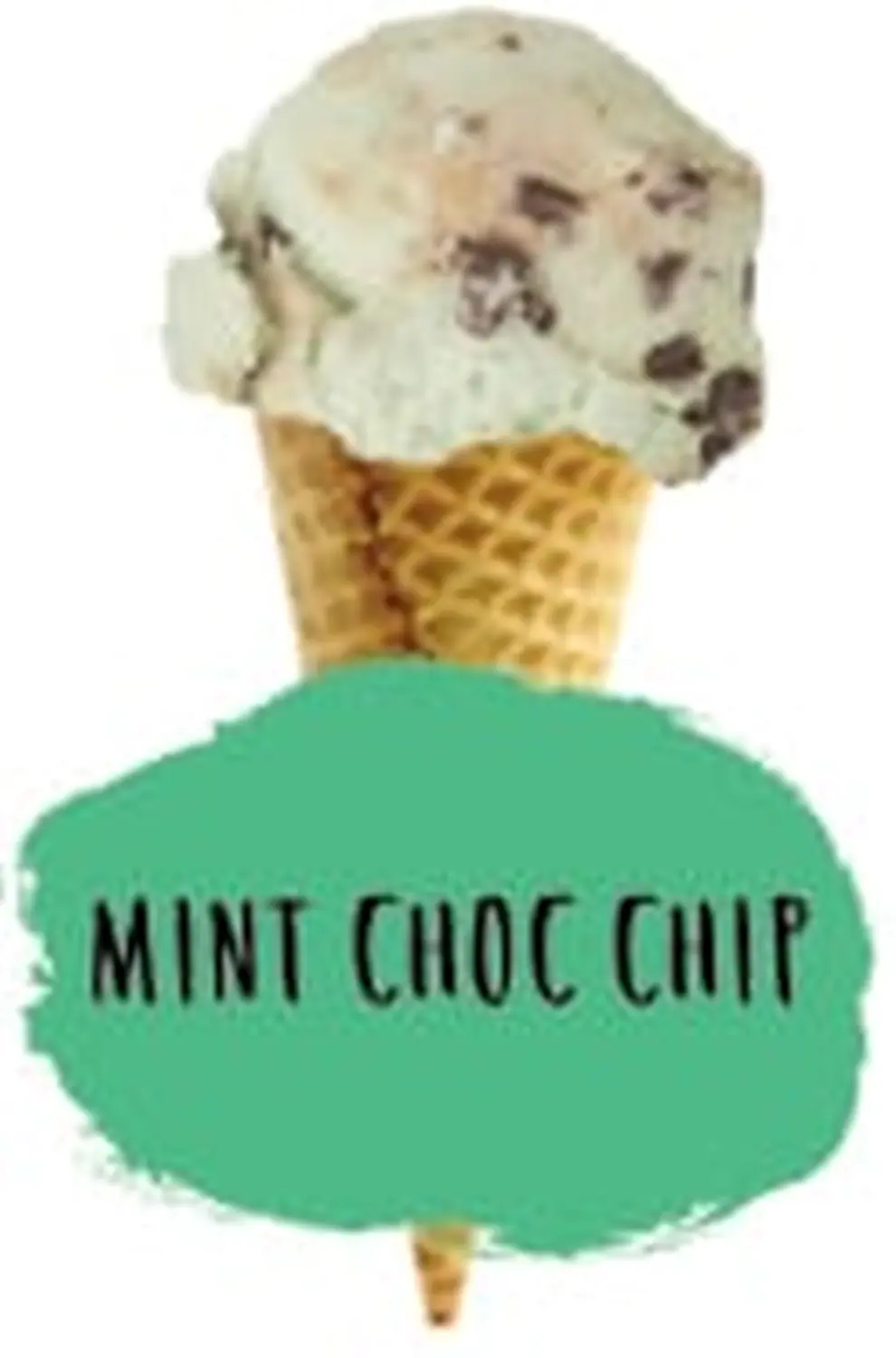 Sevanetti Mint Choc Chip Ice Cream