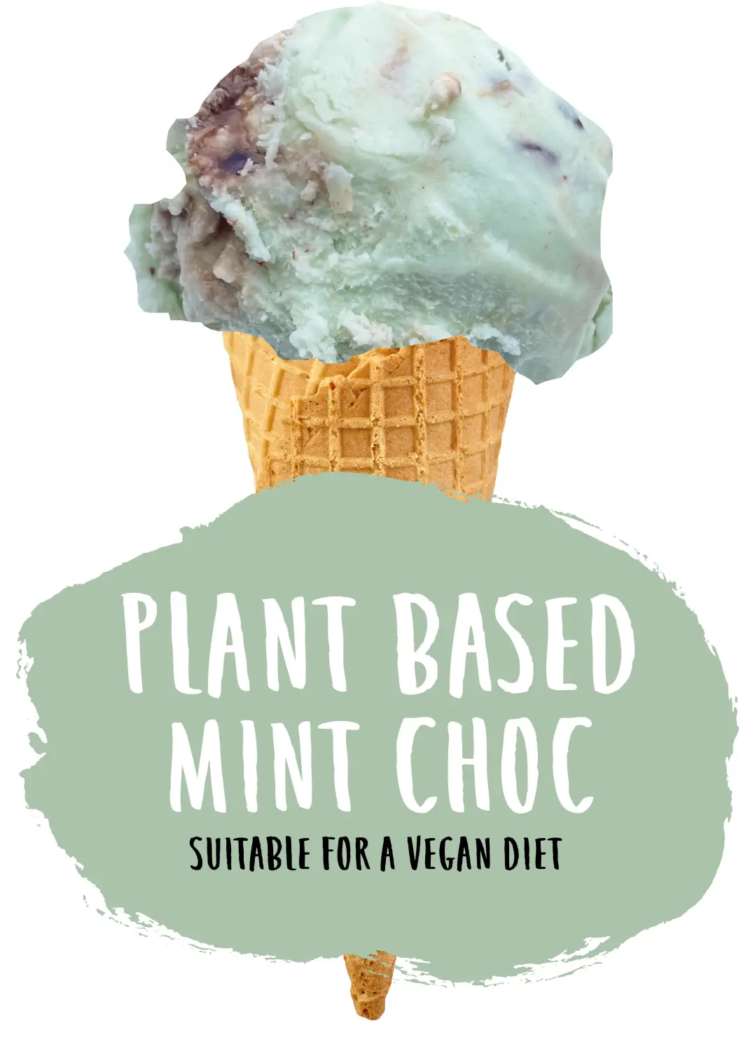 Sevanetti Plant based mint choc Ice Cream 