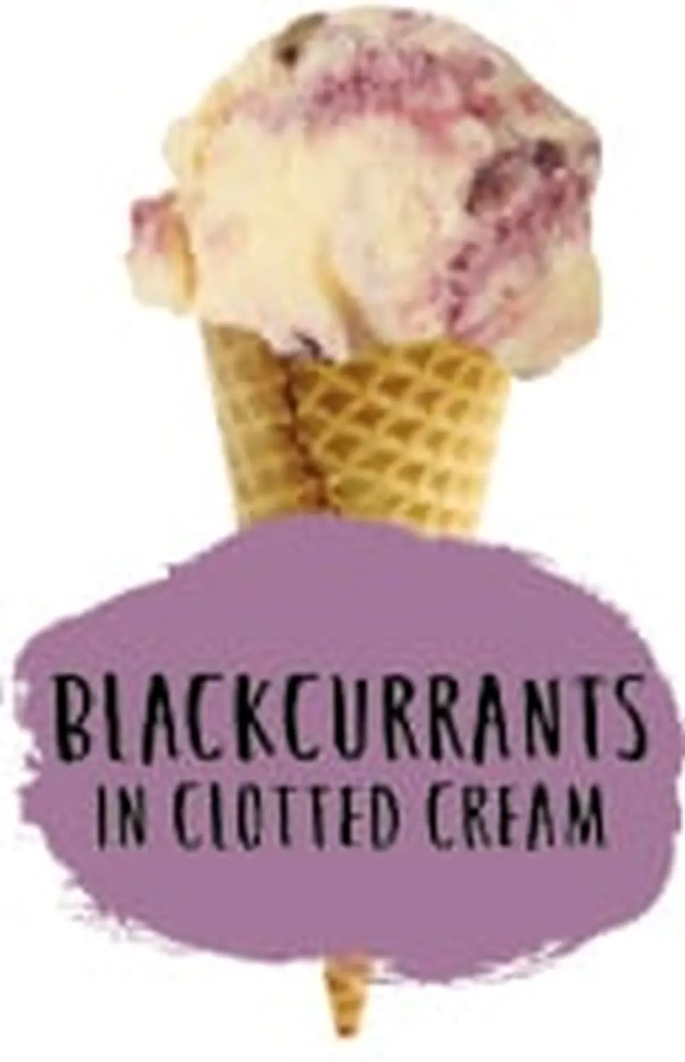 Sevanetti blackcurrants Ice cream
