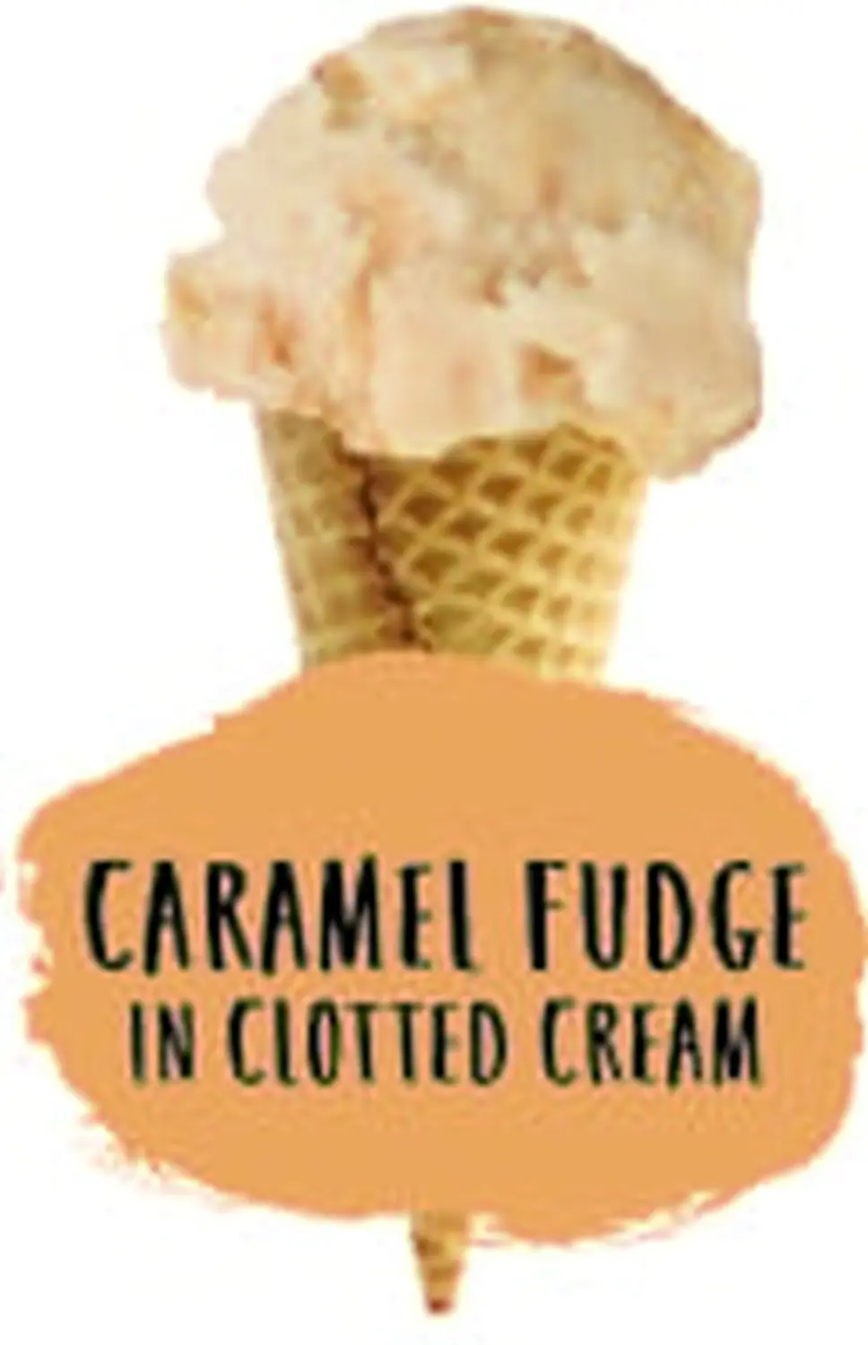 Sevanetti Caramel Fudge Ice Cream